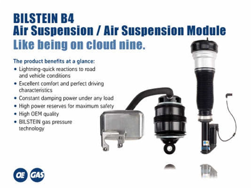 Bilstein B4 2007 Mercedes-Benz S550 4Matic Front Left Air Spring with Twintube Shock Absorber - My Store