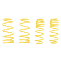 ST Sport-tech Lowering Springs VW Jetta IV Sedan - My Store