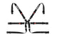 Sparco BELT 6 PNT 2in FORMULA BLK - My Store