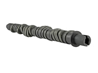 Skunk2 Tuner Series D-Series Honda Stage 4 Camshaft - Mammoth Racing -