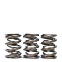 Skunk2 Tuner Series Honda/Acura (h22a/f20b) Dohc Vtec Alpha Valve Spring Set (Dual Springs) - Mammoth Racing -