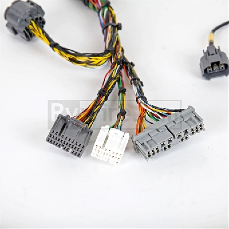 Rywire 02-04 Honda K-Series Mil-Spec Engine Harness w/OBD2 02-04 RSX K20 Sensors (Adapter Req) - Mammoth Racing -