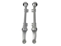 Skunk2 94-01 Acura Integra Front Lower Control Arm - Hard Rubber Bushing - Mammoth Racing -