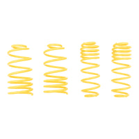 ST Sport-tech Lowering Springs VW Jetta IV Sedan - My Store