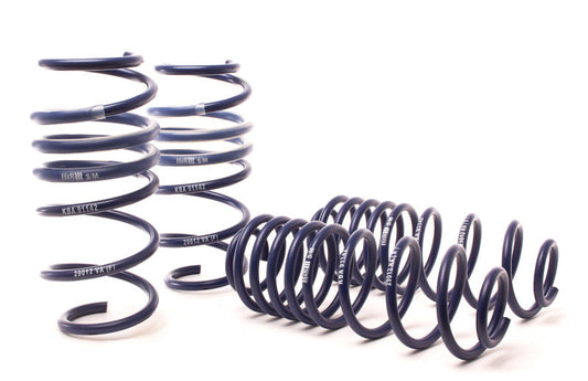 H&R 10-19 Ford Fiesta 1.6l/1.0l EcoBoost Sport Spring