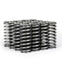 Skunk2 Alpha Series Honda D Series Vtec Valve Spring Set - Mammoth Racing -