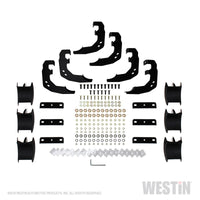Westin 2019 Ram 1500 Crew Cab (Excl. 1500 Classic) PRO TRAXX 4 Oval Nerf Step Bars - SS - Mammoth Racing -