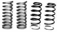 Ford Racing 1979-2004 Mustang Front/Rear Spring Kits - Mammoth Racing -