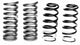 Ford Racing 1979-2004 Mustang Front/Rear Spring Kits - Mammoth Racing -
