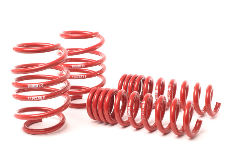 H&R 08-13 BMW M3 Coupe/M3 Sedan E92 Race Spring - My Store