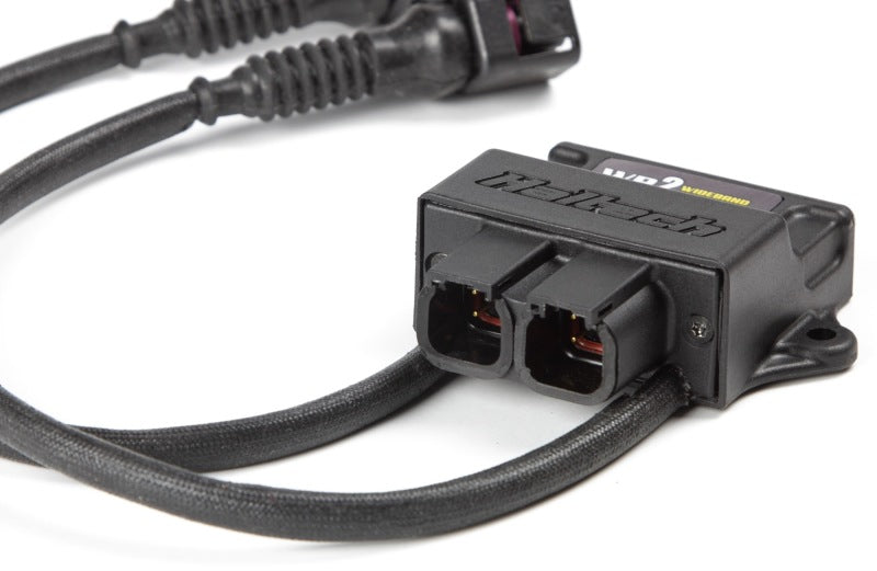 Haltech WB2 Dual Channel CAN O2 Wideband Controller Kit - Mammoth Racing -