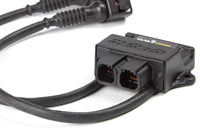 Haltech WB2 Dual Channel CAN O2 Wideband Controller Kit - Mammoth Racing -