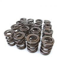Skunk2 Tuner Series Honda/Acura (h22a/f20b) Dohc Vtec Alpha Valve Spring Set (Dual Springs) - Mammoth Racing -