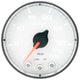 Autometer Spek-Pro 2 1/16in 35psi Stepper Motor W/Peak & Warn White/Black Boost Gauge - My Store