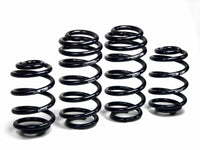 H&R 01-05 Volkswagen Passat Sedan/Passat Wagon Vr6/tdi B5.5 Facelift Sport Spring - My Store