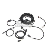 VMP Performance 15-17 Gen3R F150 2.65 L Supercharger Kit - My Store