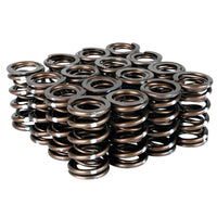 Skunk2 Pro Series Honda/Acura B-Series Vtec XP Valve Spring Set (Dual Springs) - Mammoth Racing -