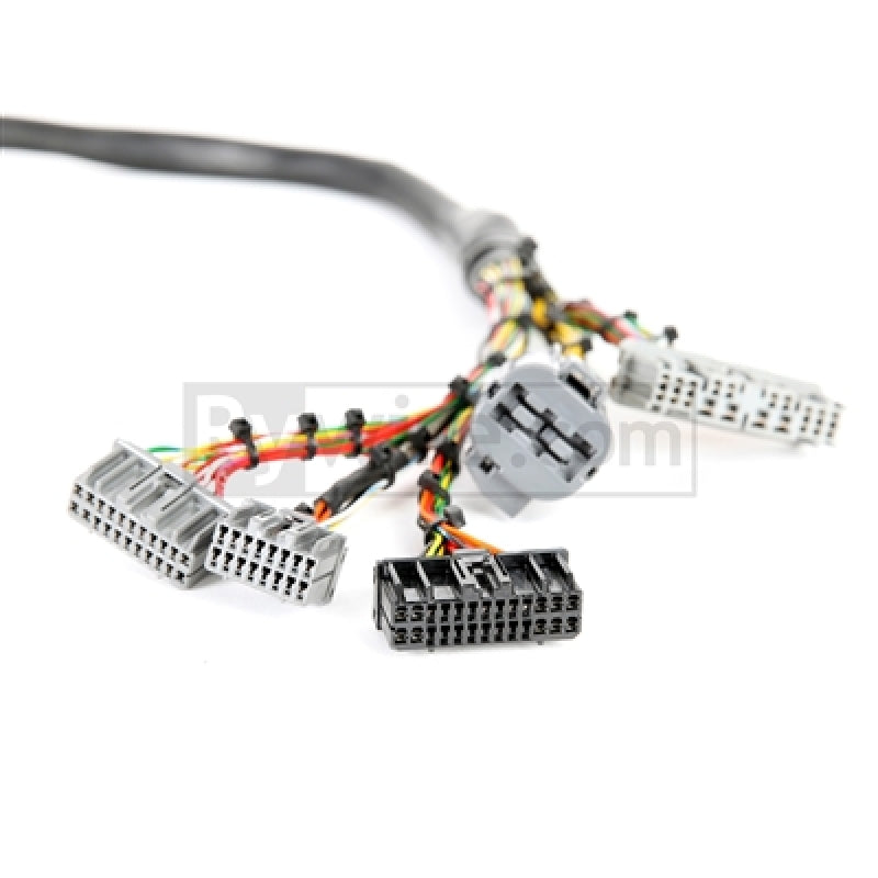Rywire Honda B/D-Series Mil-Spec Eng Harness w/OBD1 Dist/Inj/Alternator & 92-95 Plugs (Adapter Req) - Mammoth Racing -