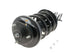 KYB Strut Plus Front Left Honda Odyssey 99-04 - Mammoth Racing -
