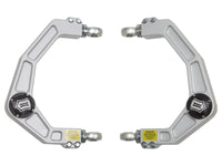 Icon 2004+ Ford F-150 / 2014+ Ford Expedition Billet Upper Control Arm Delta Joint Kit - Mammoth Racing -