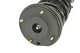 KYB Shocks & Struts Strut Plus Front Left 98-04 Chrysler Concorde/99-01 LHS / 98-04 Dodge Intrepid - Mammoth Racing -