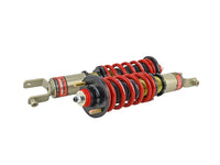 Skunk2 94-01 Acura Integra (Non Type R)/92-95 Honda Civic Pro S II Coilovers (8k/8k Spring Rates) - Mammoth Racing -