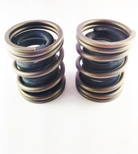 DDP Dodge 94-98 P-7100 Competition Governor Springs (5500 RPM) - Mammoth Racing -