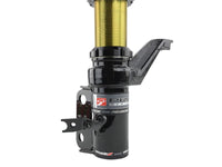 Skunk2 01-05 Honda Civic / 01-05 Acura Integra Pro-ST Coilovers (Front 10 kg/mm - Rear 10 kg/mm) - Mammoth Racing -