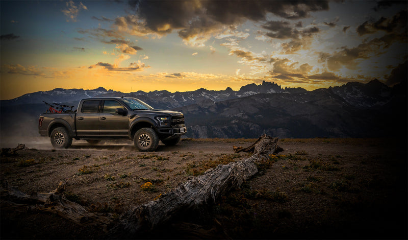 Fox Ford Raptor 3.0 Factory Series 12.3in External QAB P/B External Cooler Shock Set - My Store