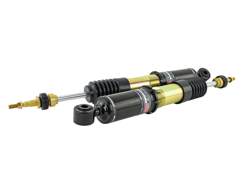Skunk2 17-20 Honda Civic Si Pro-ST Coilovers - Mammoth Racing -