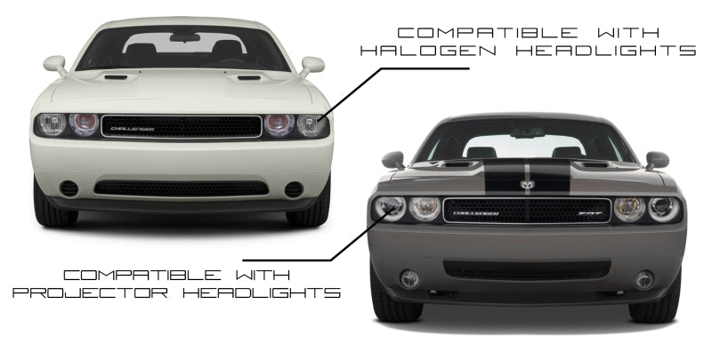 Oracle Dodge Challenger 08-14 Halo Kit - Dynamic - Dynamic - Mammoth Racing -