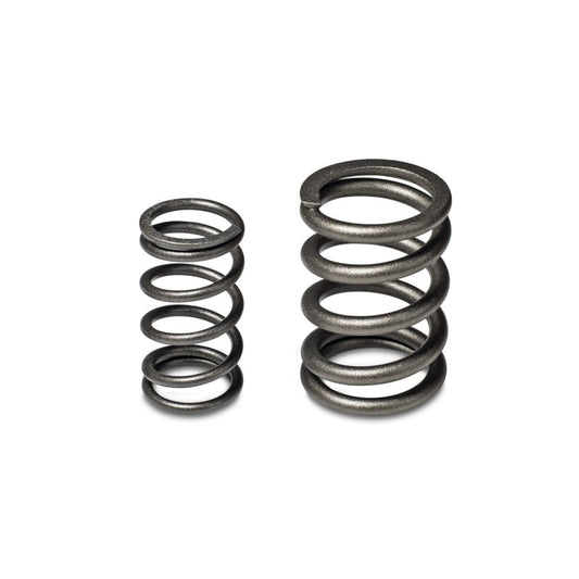 Skunk2 Tuner Series Honda/Acura (b16a/ B17a/ B18c) Dohc Vtec Alpha Valve Spring Set (Dual Springs) - Mammoth Racing -