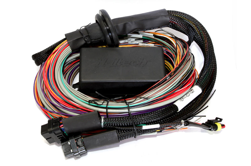 Haltech Elite 2500 & 2500 T 8ft Premium Universal Wire-In Harness - Mammoth Racing -