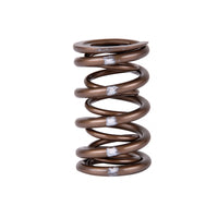 Skunk2 Pro Series Honda/Acura K-Series i-VTEC XP Valve Spring Set (Dual Springs) - Mammoth Racing -