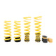 ST Sport-tech Adjustable Lowering Springs 2011+ Dodge Charger/Challenger 6/8 Cyl w/o Elec. Dampers - My Store