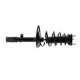 KYB Shocks & Struts Strut Plus Rear Left TOYOTA Avalon 2012-2008 - Mammoth Racing -