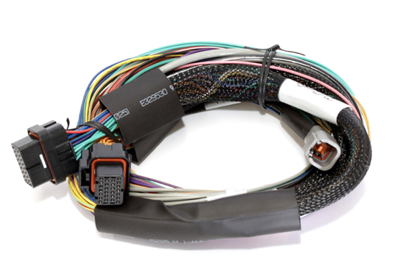 Haltech Elite 2500 8ft Basic Universal Wire-In Harness (Excl Relays or Fuses) - Mammoth Racing -