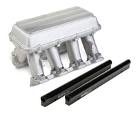 Holley 300-119 EFI Hi-Ram Intake Manifold with Blank Configurable Top - My Store