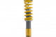 Ohlins 13-19 Porsche 911 Carrera 4/Turbo (991) Incl. S Models Road & Track Coilover System - Mammoth Racing -