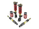 Skunk2 12-13 Honda Civic Si Pro ST Coilovers - Mammoth Racing -