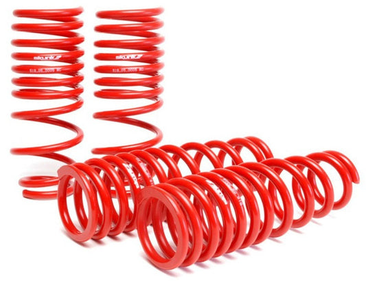 Skunk2 96-00 Honda Civic Lowering Springs (2.50in - 2.25in.) (Set of 4) - Mammoth Racing -