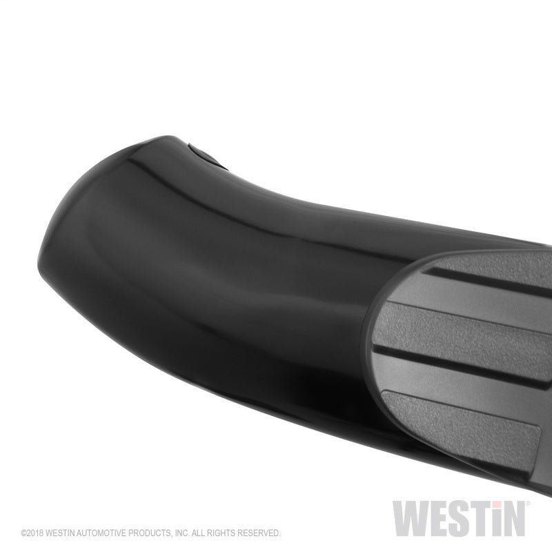 Westin 2019 Ram 1500 Crew Cab (Excl. 1500 Classic) PRO TRAXX 4 Oval Nerf Step Bars - SS - Mammoth Racing -