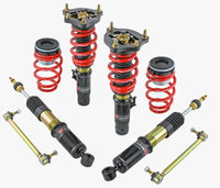 Skunk2 17-20 Honda Civic Si Pro-ST Coilovers - Mammoth Racing -