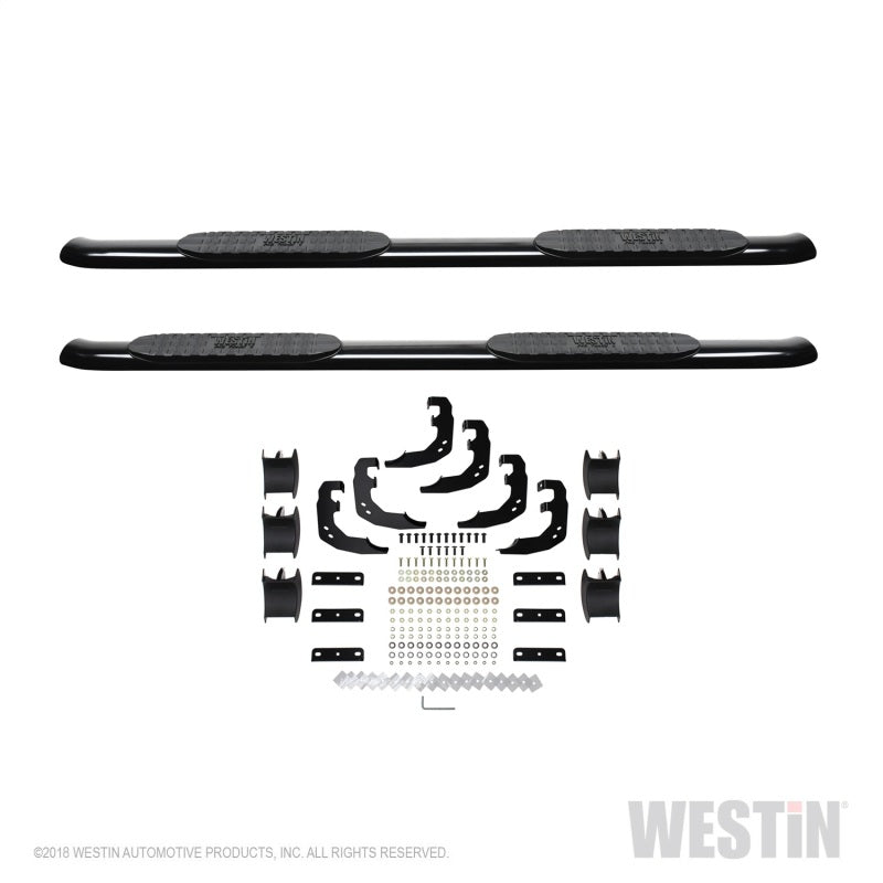 Westin 2019 Ram 1500 Crew Cab (Excl. 1500 Classic) PRO TRAXX 4 Oval Nerf Step Bars - SS - Mammoth Racing -