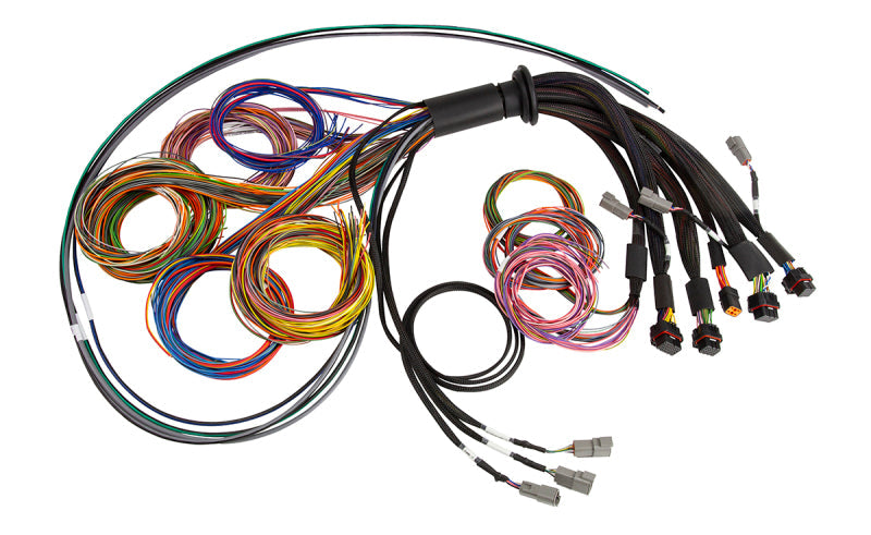 Haltech NEXUS R5 Basic Universal Wire-In Harness - Mammoth Racing -