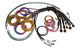 Haltech NEXUS R5 Basic Universal Wire-In Harness - Mammoth Racing -