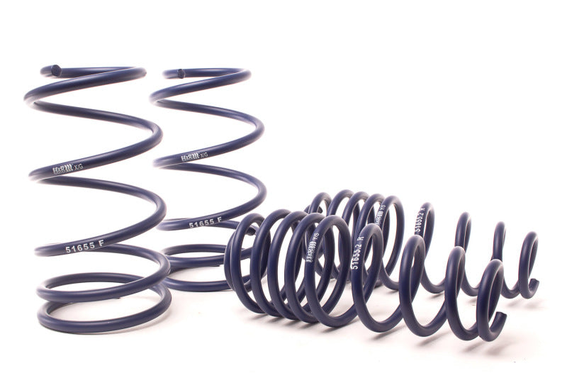 H&R 2010 Ford Mustang/Convertible/GT/Shelby GT/Shelby Gt-h V6/v8 Sport Spring - Mammoth Racing -