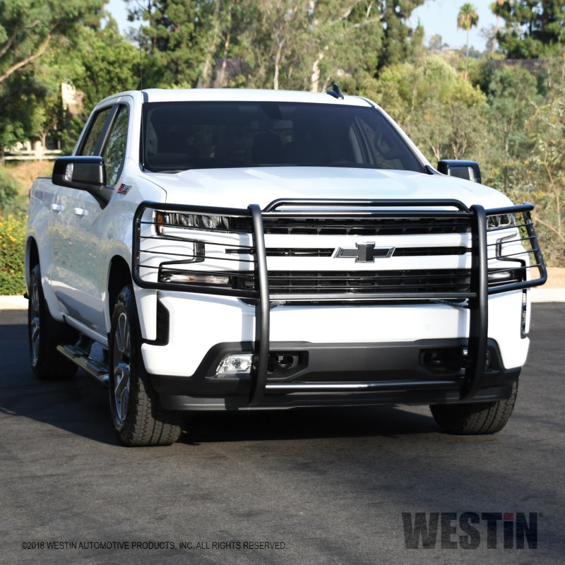Westin 2019 Chevrolet Silverado 1500 Sportsman Grille Guard - Black - Mammoth Racing -