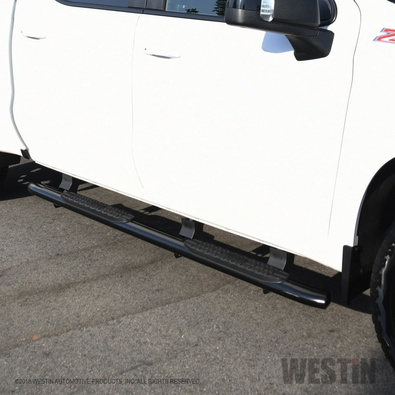 Westin 2019 Chevrolet Silverado/Sierra 1500 Crew Cab Non LD PRO TRAXX 4 Oval Nerf Step Bars - Black - Mammoth Racing -