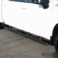 Westin 2019 Chevrolet Silverado/Sierra 1500 Crew Cab Non LD PRO TRAXX 4 Oval Nerf Step Bars - Black - Mammoth Racing -